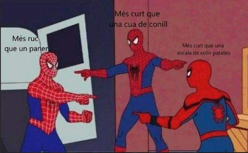 Més curt que una cua de conill