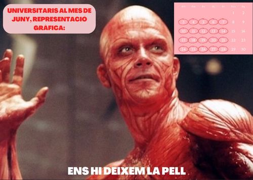 Deixar-hi la pell