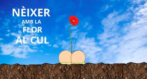 Néixer amb la flor al cul
