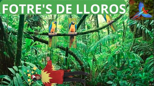 Fotre's de lloros