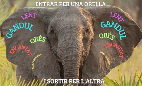 Per una orella li entra i per l'altra li surt