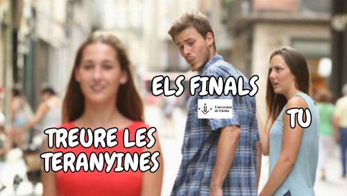 Treure les teranyines