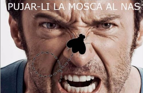 Pujar-li la mosca al nas