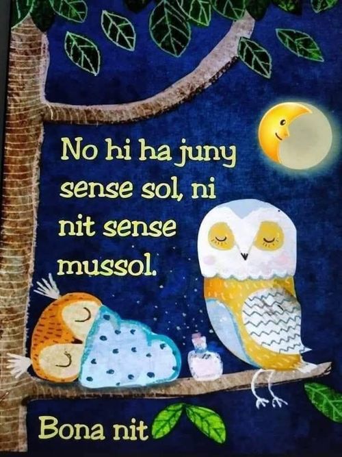 No hi ha juny sense sol, ni nit sense mussol