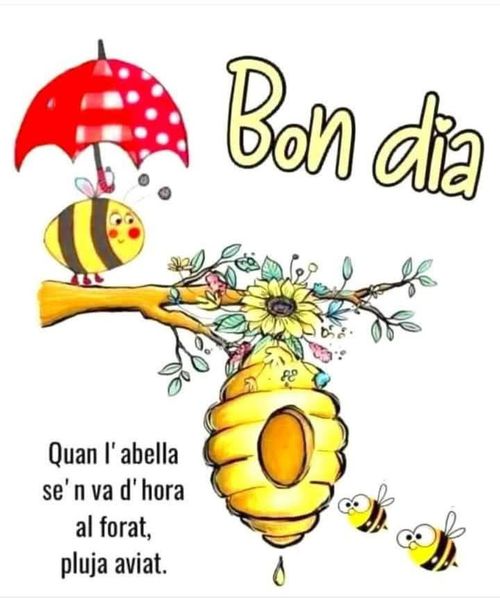 Quan l'abella se'n va d'hora al forat, pluja aviat