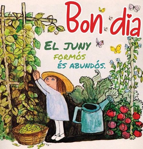 El juny formós és abundós