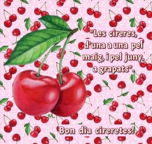 Les cireretes, d'una a una pel maig, i pel juny, a grapats