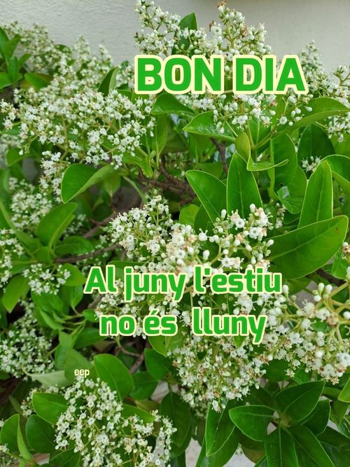 Al juny, l'estiu no és lluny