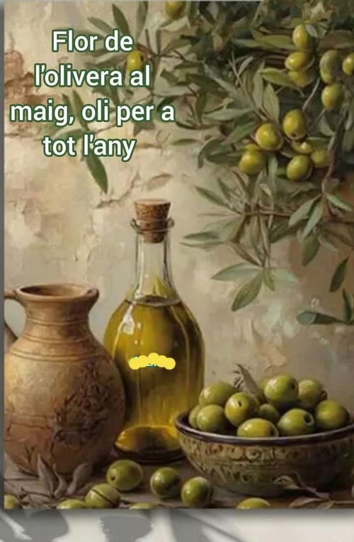 Flor d'olivera pel maig, oliada per tot l'any