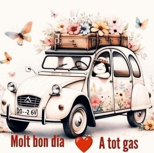 A tot gas