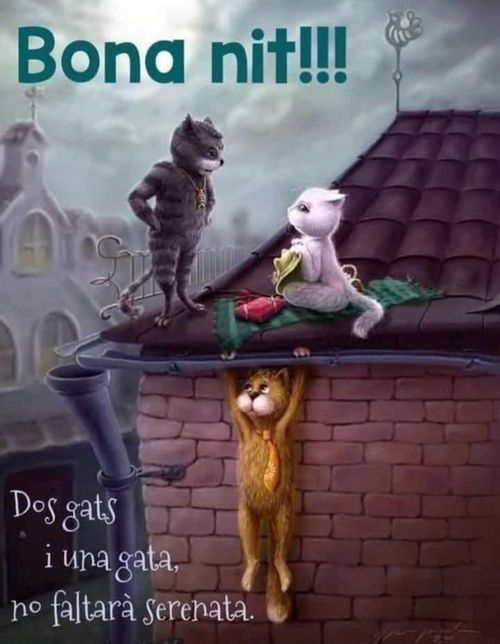 Dos gats i una gata, no faltarà serenata