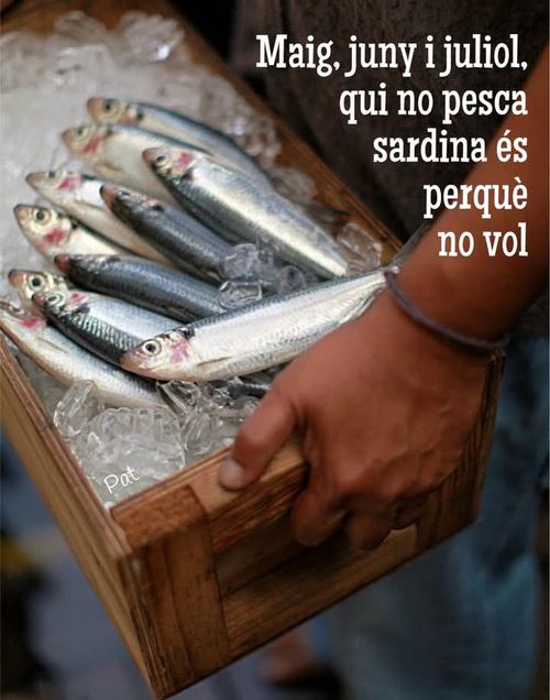 Maig, juny i juliol, qui no pesca sardina és perquè no vol