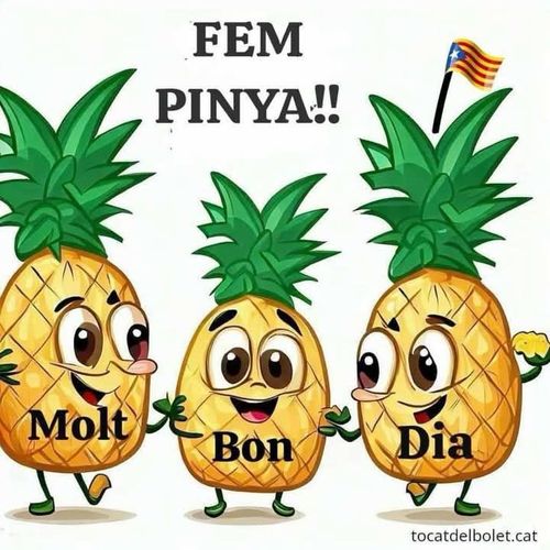 Fer pinya