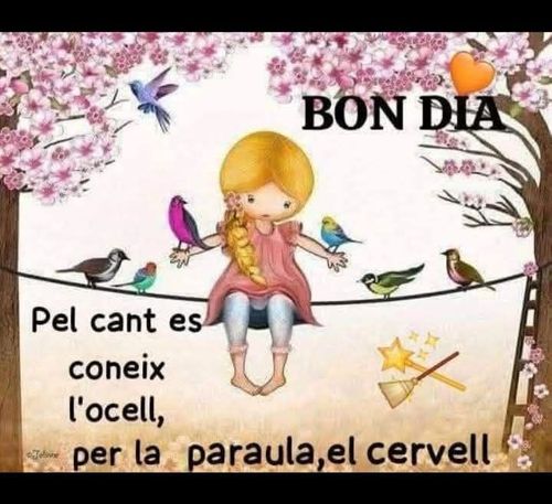 En cantar es coneix l'ocell, i en parlar, el cervell
