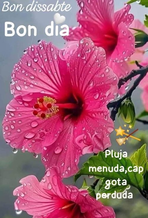 Pluja menuda, cap gota perduda