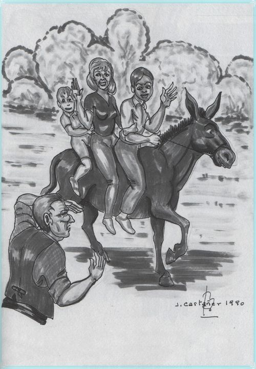 No veure'n tres en un burro