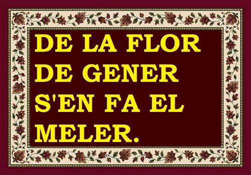 De la flor de gener se'n fa el meler