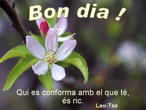 No és més ric qui té més, sinó qui menys en necessita