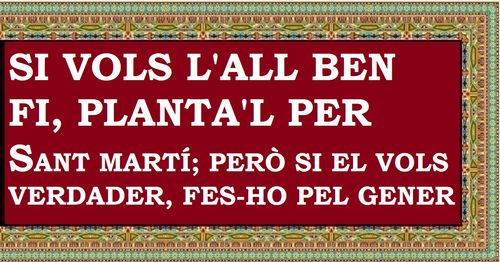 Si vols l'all ben coent, planta'l per l'Advent; si el vols ben fi, planta'l per Sant Martí; però si el vols vertader, fes-lo pel gener