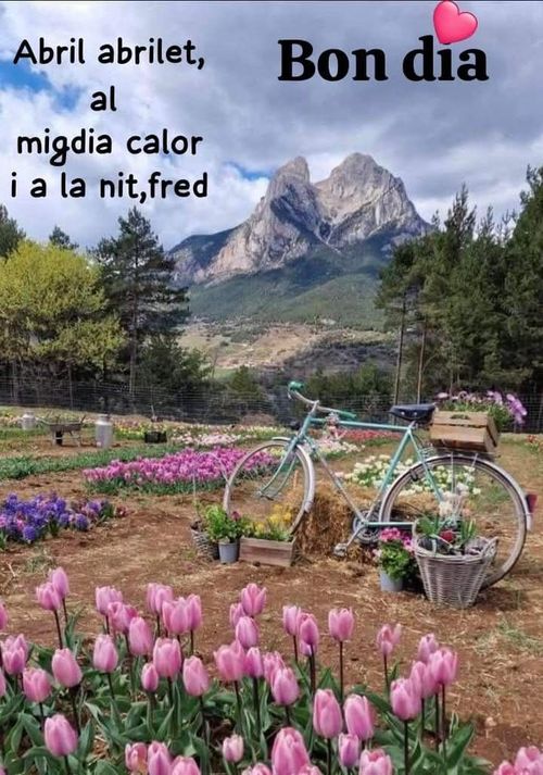 Abril, abrilet, al migdia calor i al vespre fred