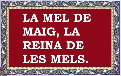 La mel de maig, la reina de les mels