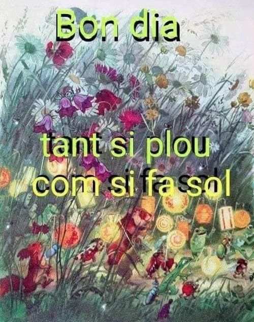 Tant si plou com si fa sol