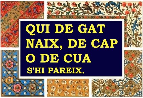 Qui és fill del gat, se li assembla de la cua o del cap