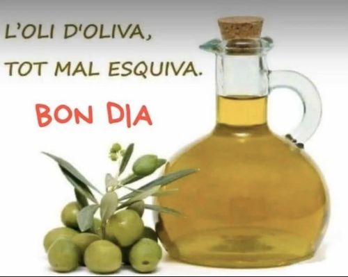 L'oli d'oliva tot mal esquiva