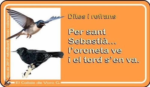 Per Sant Sebastià, l'oreneta ve i el tord se'n va