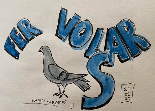 Fer volar coloms