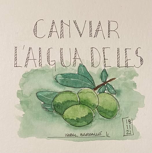 Canviar l'aigua de les olives