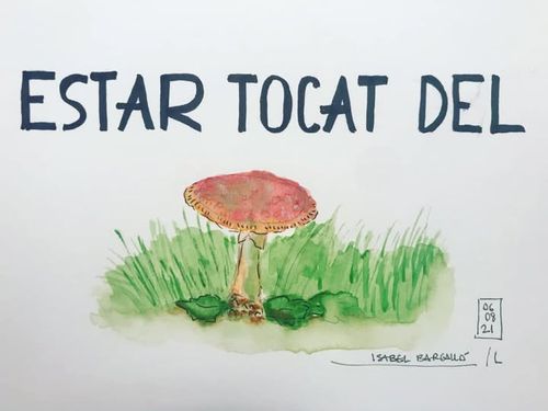 Tocat del bolet