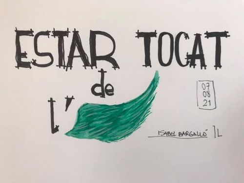 Tocat de l'ala