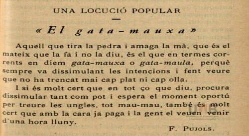 Gata maula