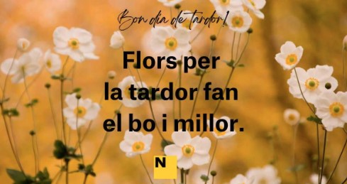 Flor de tardor fa el bo i millor