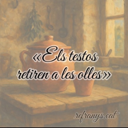 Els testos s'assemblen a les olles