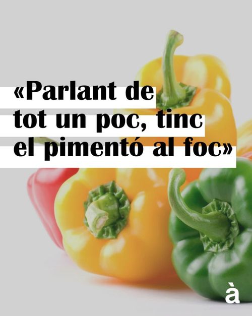 Parlant de tot un poc, tinc el pimentó al foc