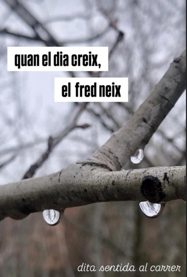 Quan el dia creix, el fred neix