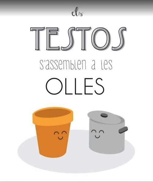 Els testos s'assemblen a les olles