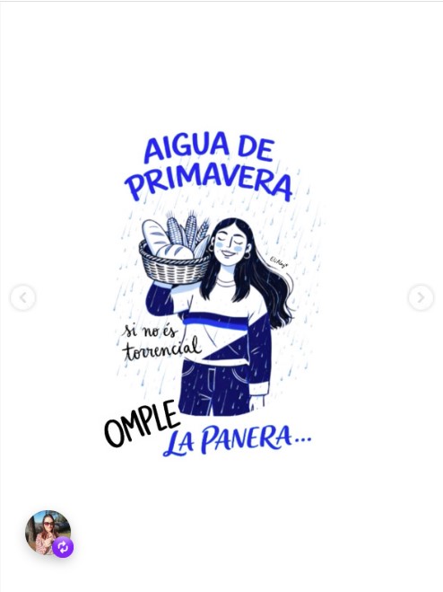 Aigua de primavera, si no és torrencial, omple la panera