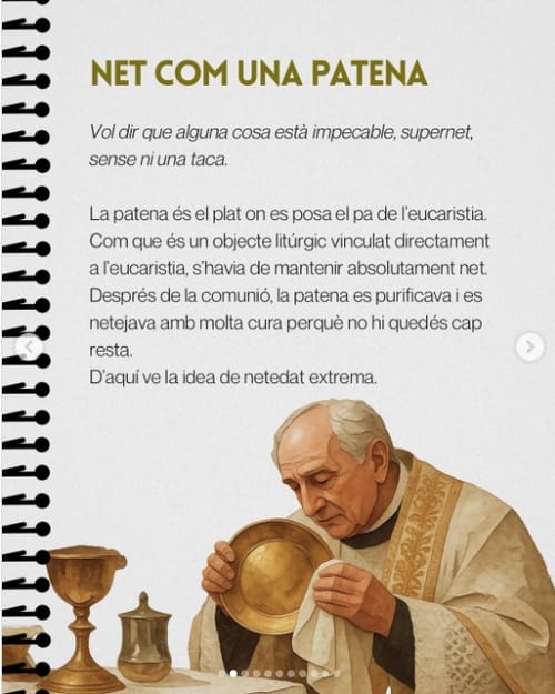 Net com una patena