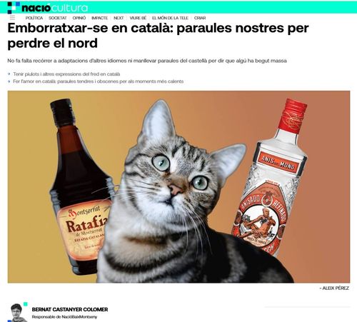 «Emborratxar-se en català: paraules nostres per perdre el nord»