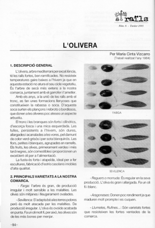 Viscarro i Gauxachs, M. Cinta (1995): «L'olivera»