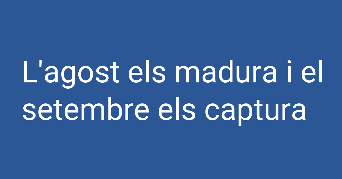 L'agost els madura i el setembre els captura | PCCD
